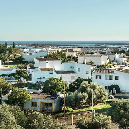 Whyler * Tavira