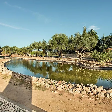 Whyler * Tavira